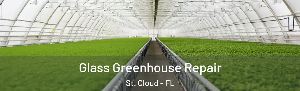  Glass Greenhouse Repair St. Cloud - FL